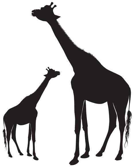 two giraffes standing next to each other in silhouette on a white background