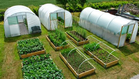 Northern Polytunnels | From how to build your polytunnel to how to ...