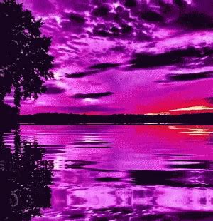 Purple GIF - Purple GIFs | Purple, Water, Northern lights