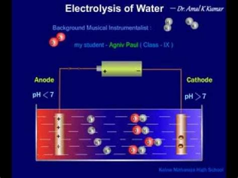 Electrolysis of Water ( Molecular Animation ) - Dr. Amal K Kumar - YouTube