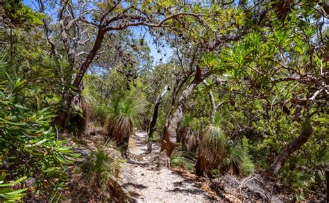 Noosa National Park Walks | Australia Your Way