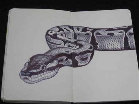 fish scales drawing - Google Search Snake Sketch, Snake Drawing, Snake Art, Color Pencil Drawing ...