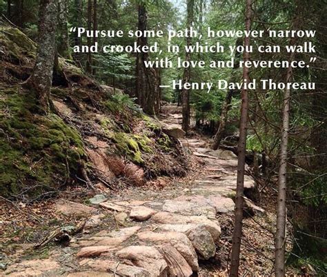 Thoreau quote | Into the woods quotes, Adventure travel, Outdoor travel