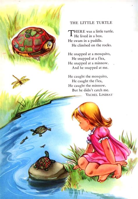 THE LITTLE TURTLE: a Singable Illustrated Poem | Kids poems, Childrens poems, Poetry for kids