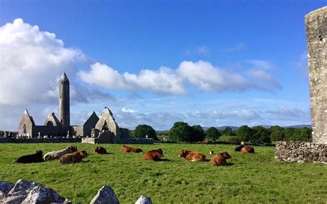 Gort 2020: Best of Gort, Ireland Tourism - Tripadvisor