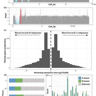 (PDF) Pangenome of water caltrop reveals structural variations and asymmetric subgenome ...