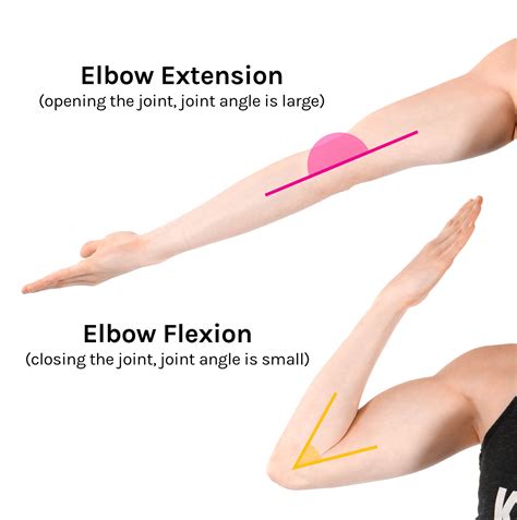 Flexion & Extension: In Detail - Tom Morrison