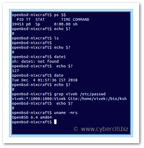 Bourne Shell Exit Status Examples For Linux and Unix - nixCraft