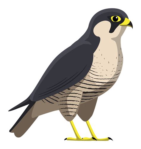 Peregrine Falcon Nesting Box | UP Health System - Marquette