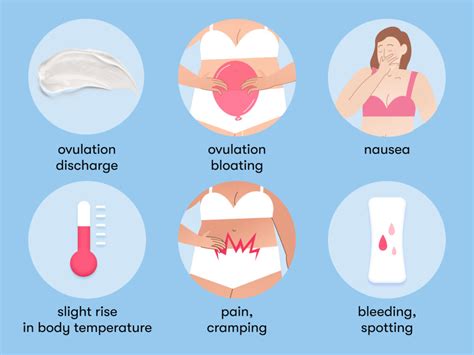 How long does ovulation last? - Flo