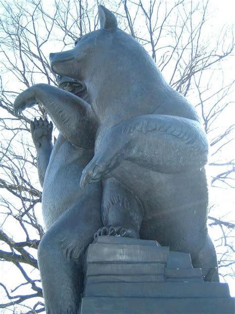 Washington University in St. Louis Bears - St. Louis, Missouri - School ...