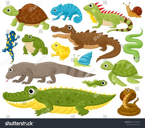 1,039,001 imágenes de Reptiles - Imágenes, fotos y vectores de stock | Shutterstock