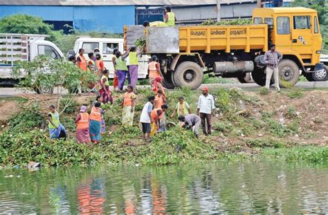 DC impact: Jayalalithaa orders action on Korattur lake | DC impact ...