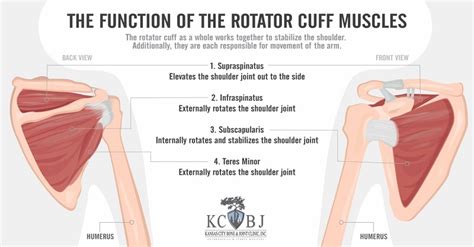 Rotator Cuff Injury Overland Park | Rotator Cuff Tear Kansas City