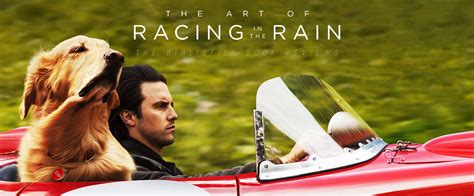 Recap, Summary + Review: The Art of Racing in the Rain by Garth Stein - The Bibliofile