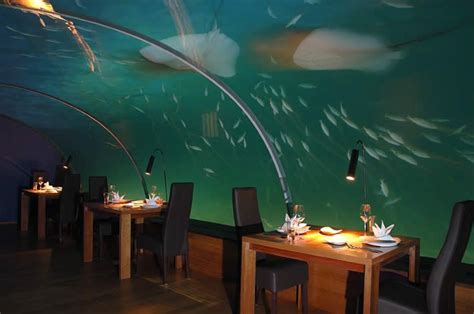 Hilton Maldives Resort & Spa underwater Restaurant (With images) | Underwater restaurant ...