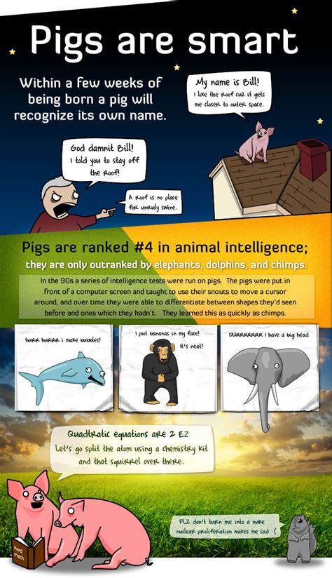 5 Reasons Pigs Are More Awesome Than You - The Oatmeal