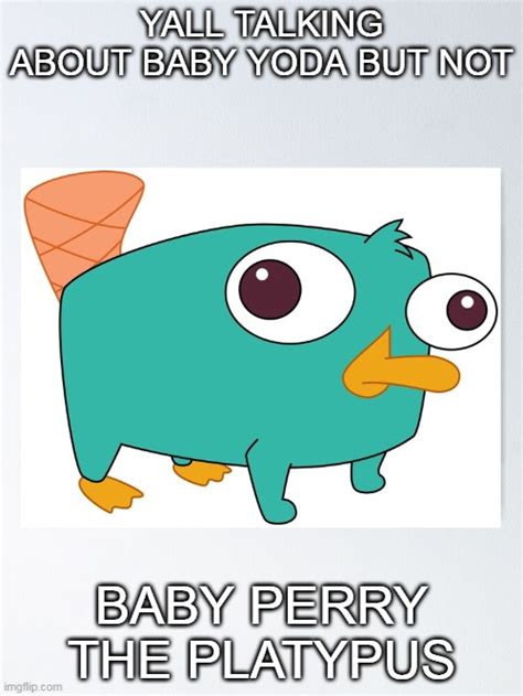 Baby Perry The Platypus - Imgflip