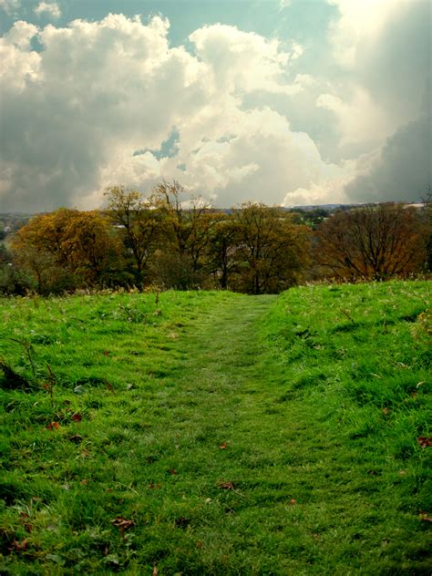 Grass path by cyclopsxbd on DeviantArt