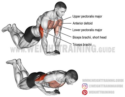 Diamond push-up on knees exercise instructions and video