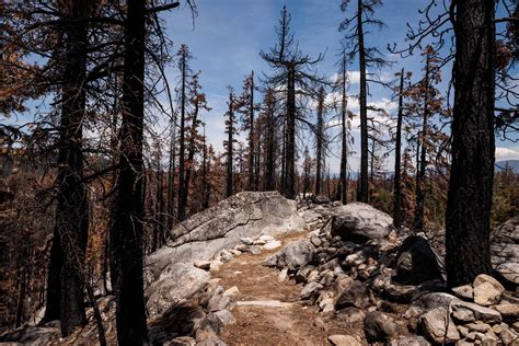 How the Pacific Crest Trail may become ‘all but impossible’ to hike