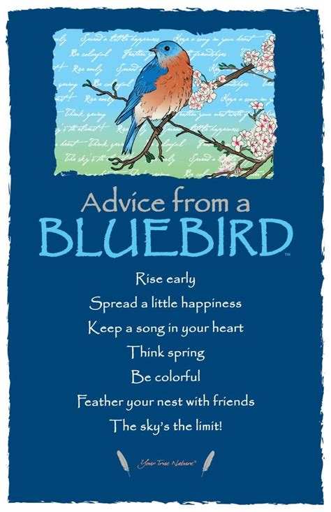 Pin by M. M. Coleman on Smart Stuff | Nature quotes, Blue bird, Happy ...