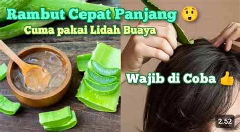 Dijamin Kilaunya! 5 Cara Menggunakan Lidah Buaya untuk Rambut yang Benar dan Praktis – Radar ...