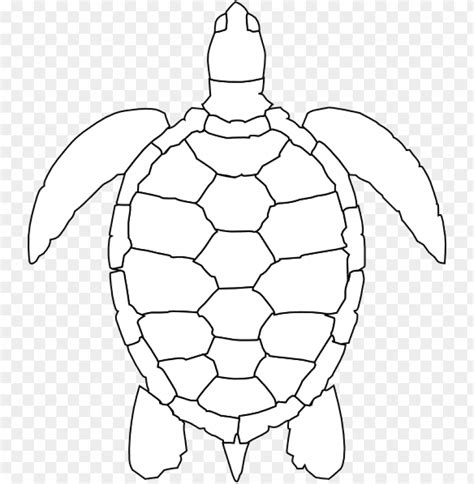 Turtle Shell Pattern Drawi PNG Transparent With Clear Background ID ...