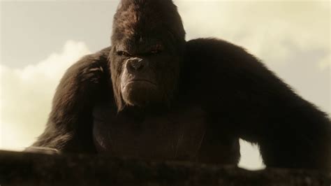 DC Geek House: [Noticia] Revelado el momento en que Gorilla Grodd ...