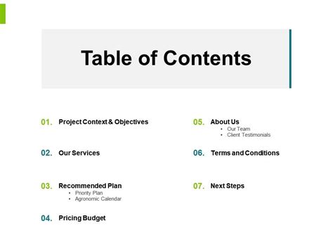 Table Of Contents Our Services Ppt Powerpoint Presentation File Visuals ...