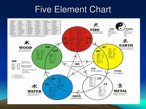 PPT - Acupuncture 101 PowerPoint Presentation, free download - ID:4556942