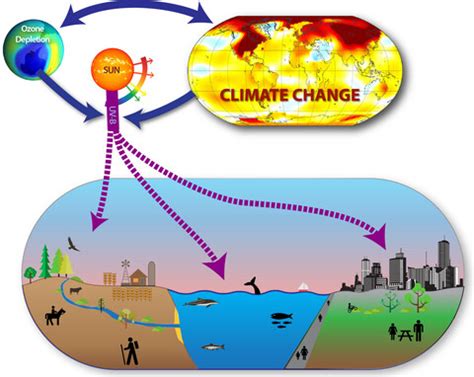 Global Change Biology | Environmental Change Journal | Wiley Online Library