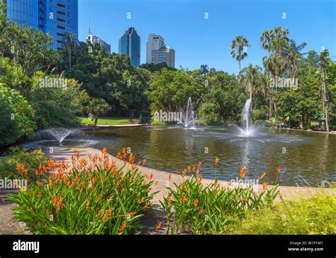 Brisbane city botanic gardens hi-res stock photography and images - Alamy