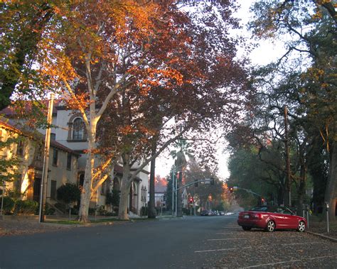 Free Images : tree, road, street, morning, leaf, town, downtown, evening, autumn, lane, season ...