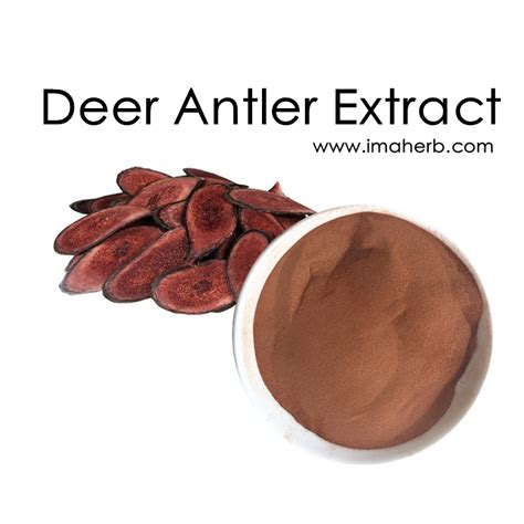 deer velvet antler deer antler extract powder 5:1 10:1 20:1