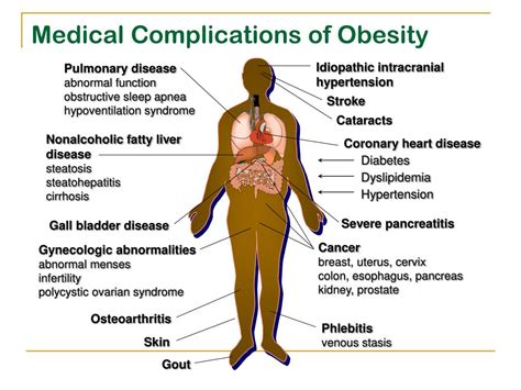 PPT - Lecture 8 Complications of Obesity PowerPoint Presentation, free download - ID:5560435