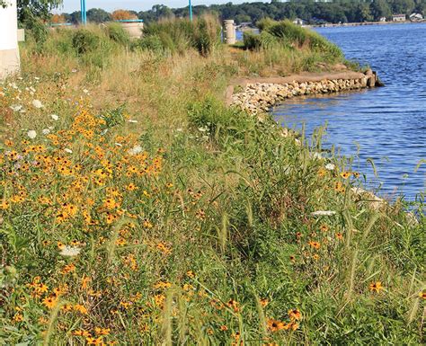 Photo Gallery of Completed Projects – Muskegon Lake Watershed Partnership