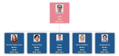 Functional Organizational Chart