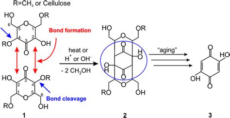 Synthesis and degradation of dimer 2 | Download Scientific Diagram