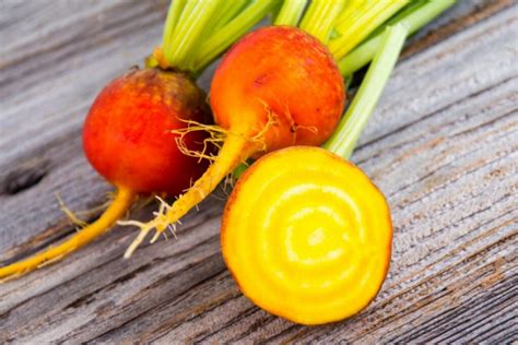 Yellow Beets: How To Cultivation & Care In The Garden