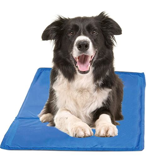 6 of the Best Dog Cooling Pads and Mats