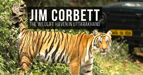 Jim Corbett National Park – Interesting Wildlife Things to Know