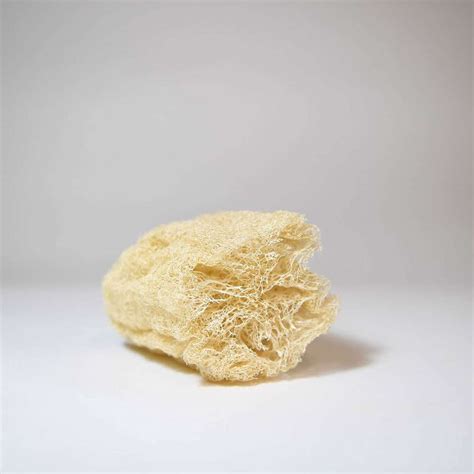 Loofah Sponge - The Home Farm