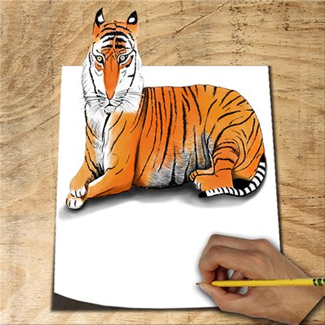 How to Draw Animals 3D - Apps on Google Play