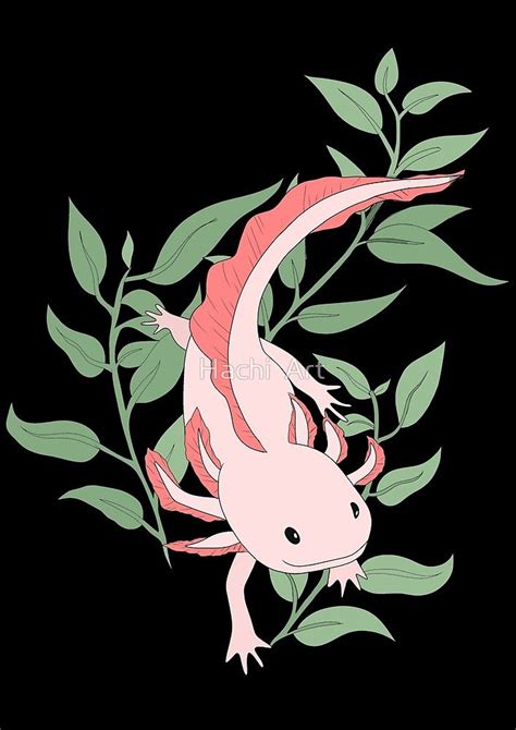 Axolotl Illustration