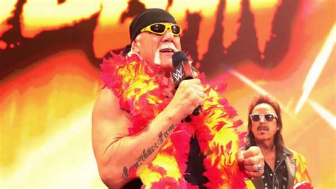 Hulk Hogan Reveals Major Reason for His Hulkamania Persona Being ...