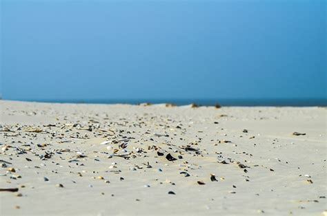 40+ Free Terschelling & Friesland Images - Pixabay