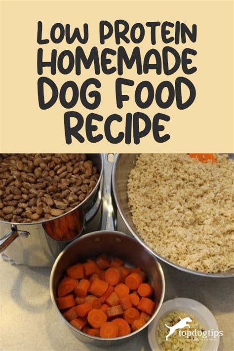 Easy Low Protein Homemade Dog Food Recipe (Step-by-Step Video) in 2023 ...