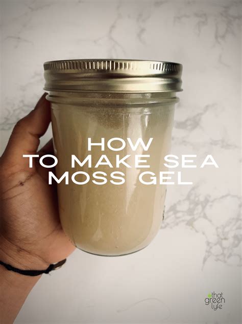 Homemade Sea Moss Gel Recipe courtesy of That Green Lyfe | That Green Lyfe