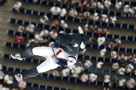 Video: See Texans mascot Toro rappel from top of Reliant Stadium - Ultimate Texans